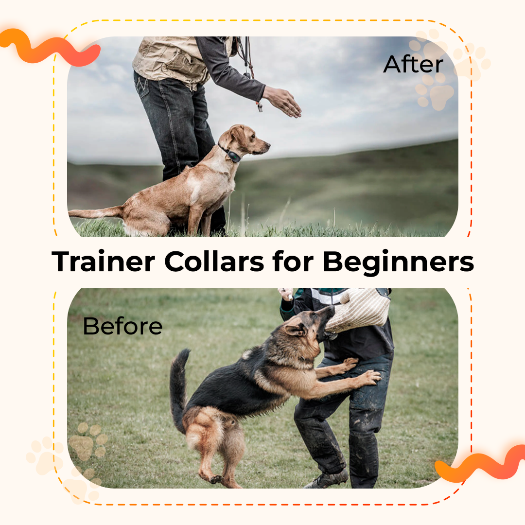 Dog Training Collar with Remote - Waterproof Electronic Collar for Small, Medium, and Large Dogs, Rechargeable with 3 Adjustable Training Modes, Helps Promote Positive Behavior Across All Breeds. - Electronics Niche