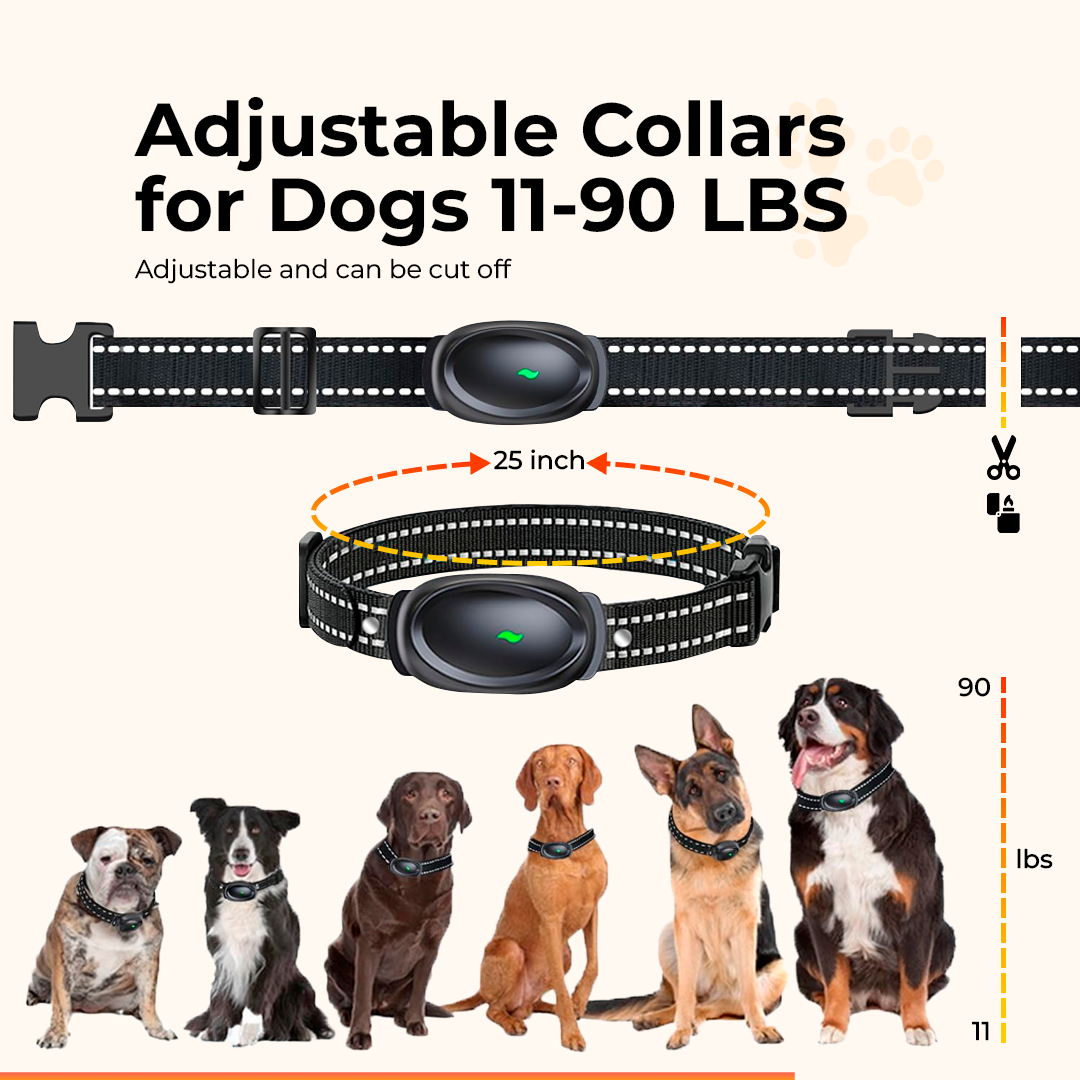 Dog Training Collar with Remote - Waterproof Electronic Collar for Small, Medium, and Large Dogs, Rechargeable with 3 Adjustable Training Modes, Helps Promote Positive Behavior Across All Breeds. - Electronics Niche