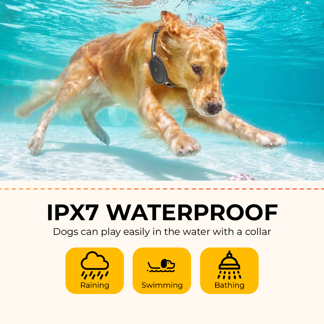 Dog Training Collar with Remote - Waterproof Electronic Collar for Small, Medium, and Large Dogs, Rechargeable with 3 Adjustable Training Modes, Helps Promote Positive Behavior Across All Breeds. - Electronics Niche