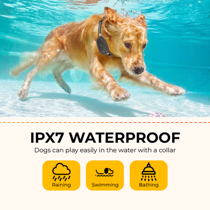 Dog Training Collar with Remote - Waterproof Electronic Collar for Small, Medium, and Large Dogs, Rechargeable with 3 Adjustable Training Modes, Helps Promote Positive Behavior Across All Breeds. - Electronics Niche
