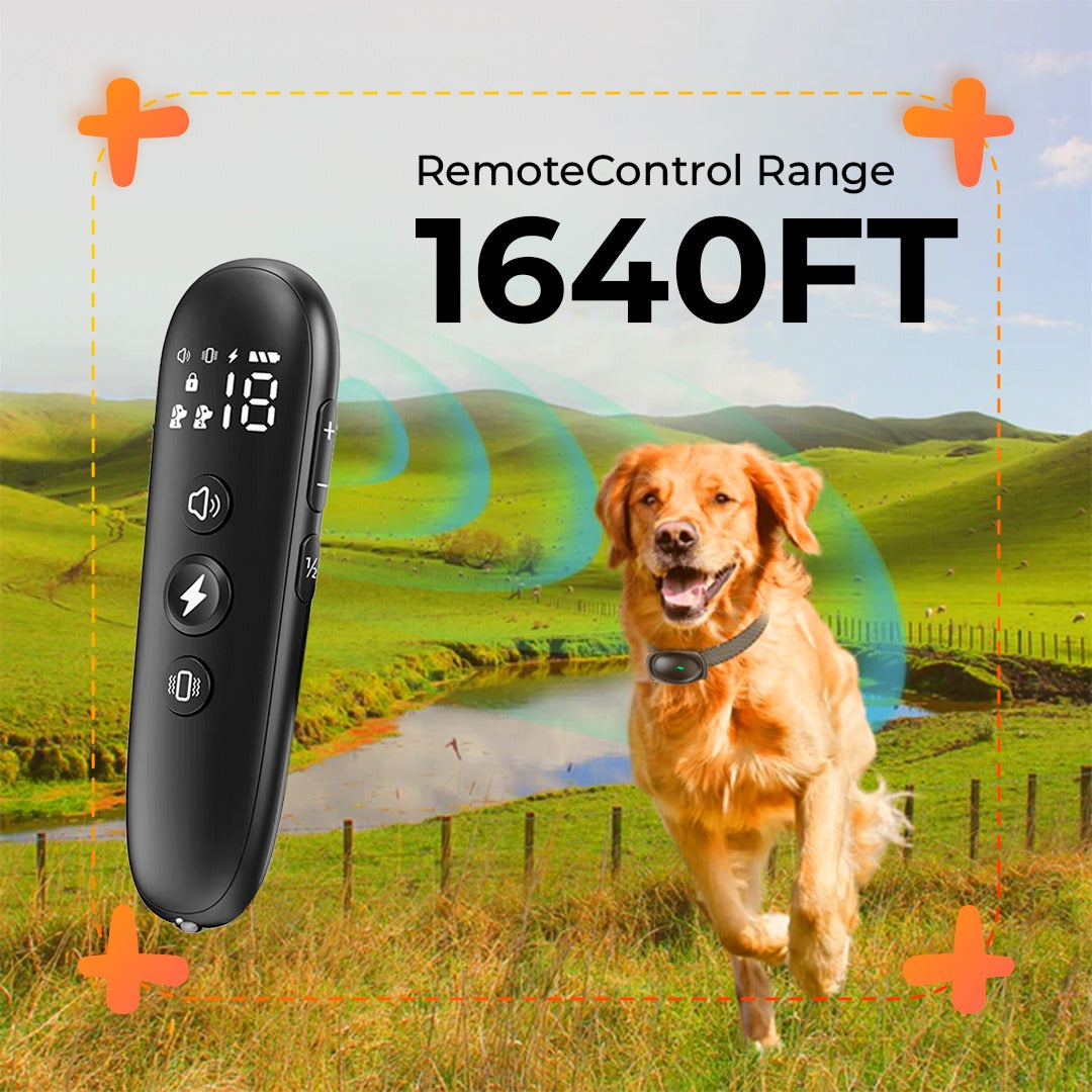 Dog Training Collar with Remote - Waterproof Electronic Collar for Small, Medium, and Large Dogs, Rechargeable with 3 Adjustable Training Modes, Helps Promote Positive Behavior Across All Breeds. - Electronics Niche